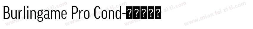 Burlingame Pro Cond字体转换